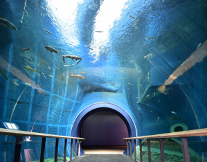 画像：滋賀県立琵琶湖博物館